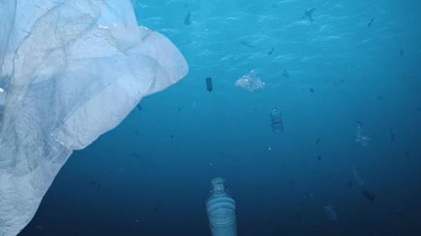 Plastic bottles and bags float in the water as seen in an underwater picture