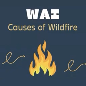 Causes Of Wildfires