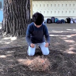 A person kneels in front of a bunch of pine needles gathered into a pile