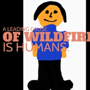 Causes Of Wildfires: Human Activity (15)