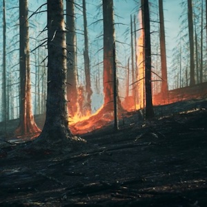 The red glow of a fire shows among a forest of trees that have already been burned