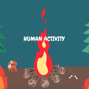 A cartoon drawing of a campfire in a wooded area sits behind the heading 