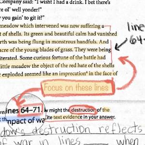 Citing Text Evidence