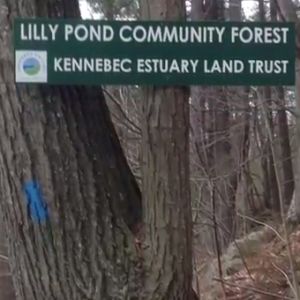 A sign attached to a tree welcomes visitors to a community forest