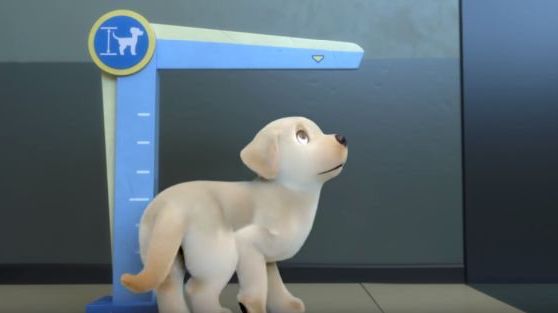 An animated puppy stares nervously at a device measuring its height