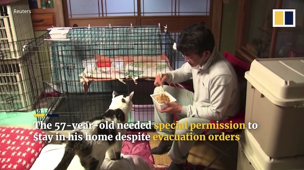 Man wearing a mask playing with multiple cats