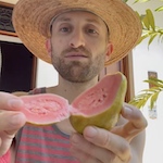 A man in a straw hat slices open a guava