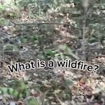 Understanding Wildfires